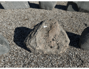 DF275, 60 x 45 x 9 cm.