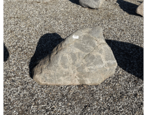 DF279, 70 x 45 x 30 cm.